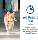 PetArmor Plus Flea & Tick Spot Treatment for Cats, over 1.5 lbs