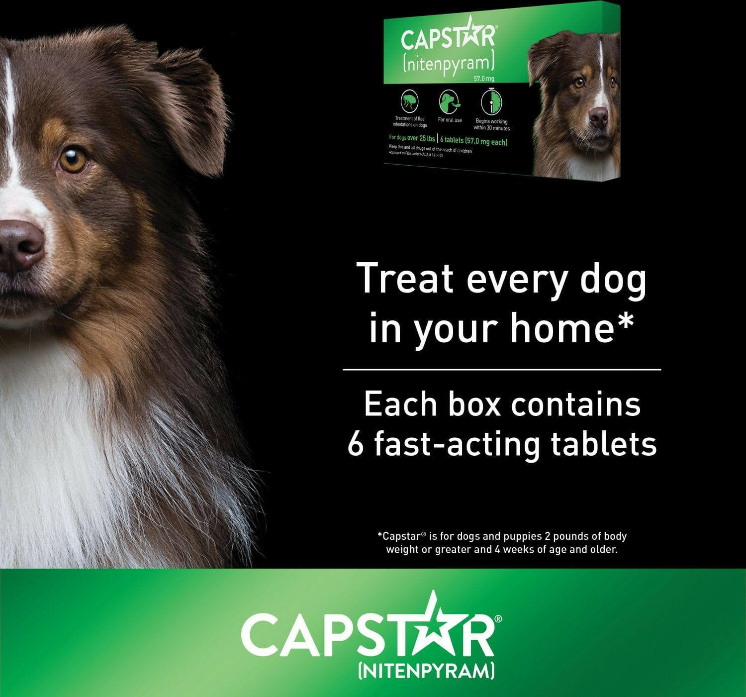 Capstar (Nitenpyram) Oral Flea Treatment for Dogs over 25 lbs