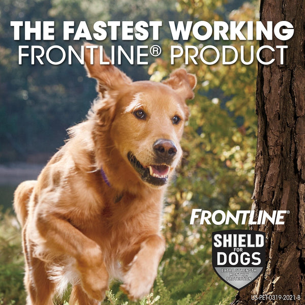 Frontline Shield for Small Dogs (11-20 lbs)
