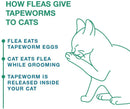 Tapeworm Dewormer for Cats (3 Tablets)