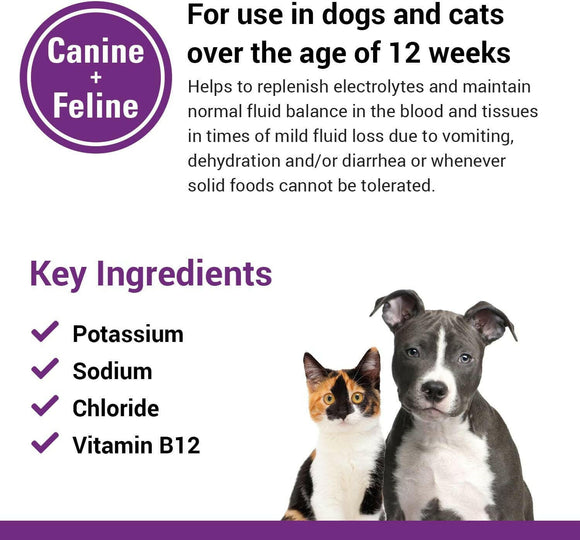 Vet Classics Pet-A-Lyte Oral Electrolyte Solution for Dogs & Cats (32 oz)