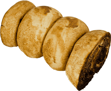 Cow Cheek - Peanut Butter - 5-7”