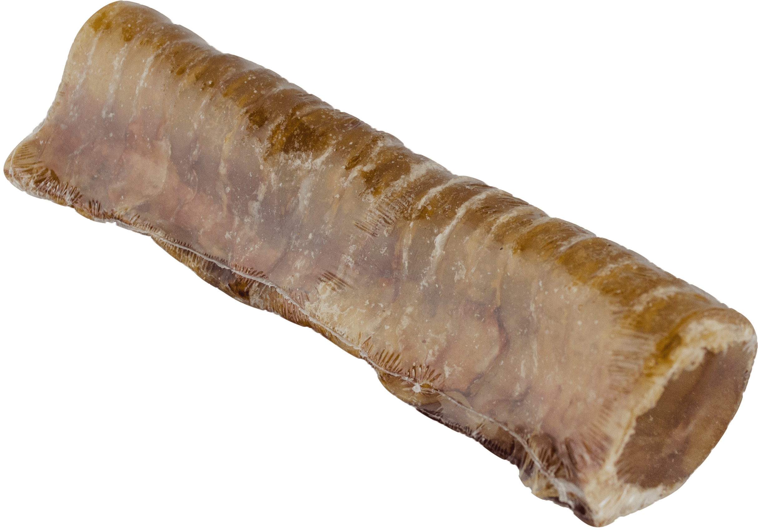 Beef Trachea 6”