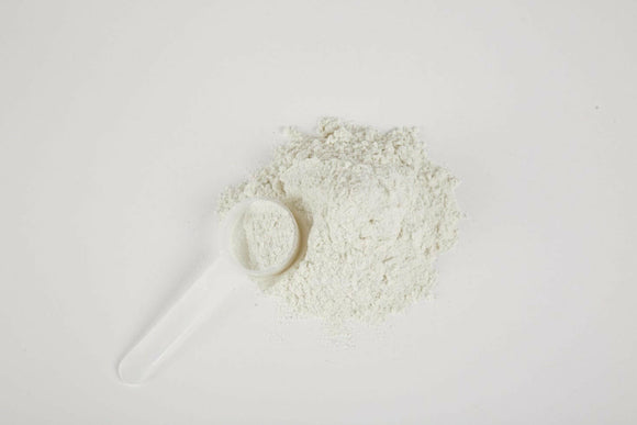 Dr. Marty ProPower Plus Canine Digestive Support Powder (2.2 oz)