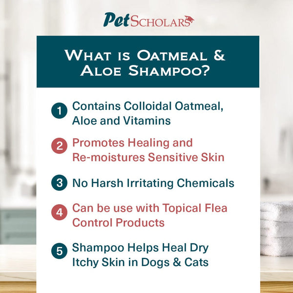 Pet Scholars Oatmeal & Aloe Shampoo Skin Soothing, Itch-Relief (16 fl oz)