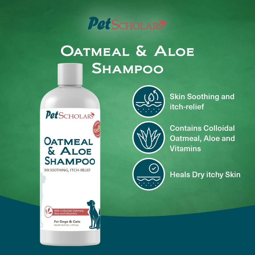 Pet Scholars Oatmeal & Aloe Shampoo Skin Soothing, Itch-Relief (16 fl oz)