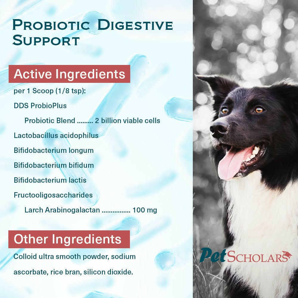 Pet Scholars Probiotic Digestive Support for Dogs & Cats (2.12 oz)