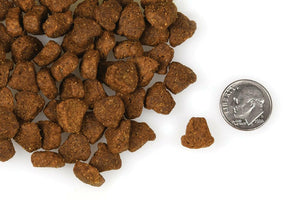 Fromm Four Star Rancherosa Recipe Dog Food - Dog Food 2