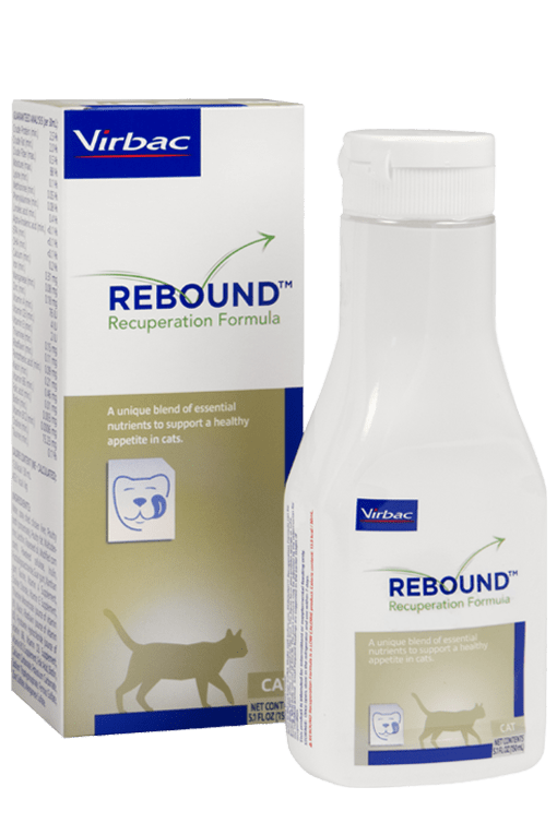 Rebound Recuperation Formula for Cats