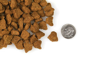 Fromm Four Star Zealambder Recipe Dog Food - 0