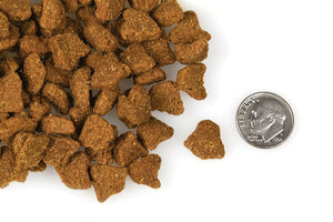 Fromm Four Star Zealambder Recipe Dog Food - Dog Food 2